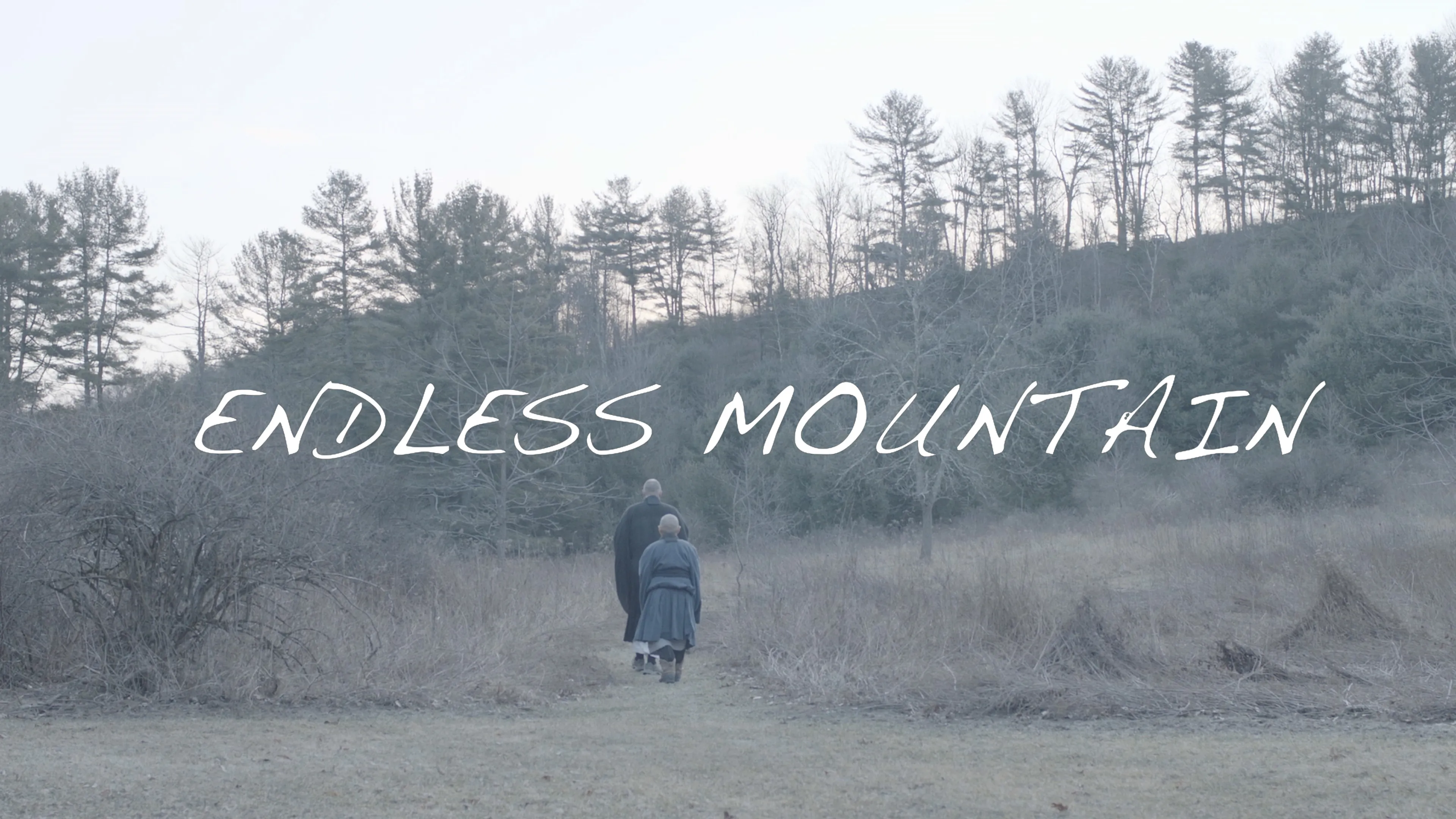 Endless Mountain poster